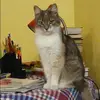 Отзыв от Анастасия Авдеева